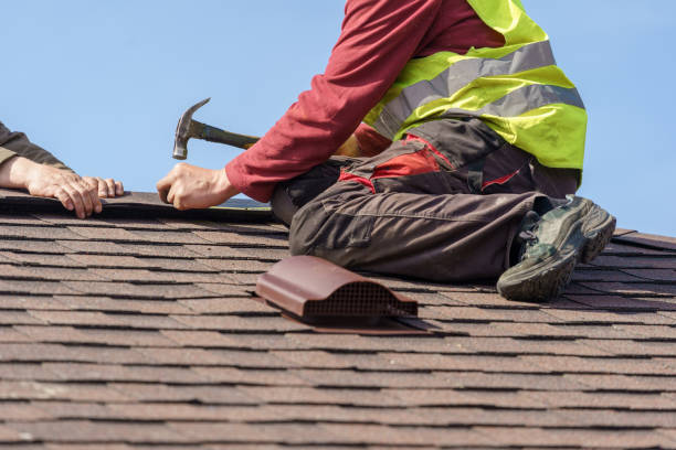 Best Roof Gutter Cleaning  in Langston, OK